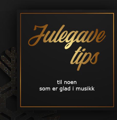 Julegavetips til noen som er glad i musikk